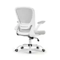 Eureka OC06 ONYX Ergonomic Home/Office Chair GY
