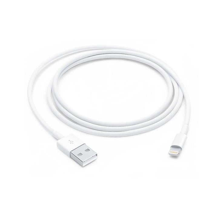 Apple Lightning to USB 1m Cable