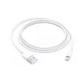 Apple Lightning to USB 1m Cable