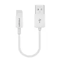 Pisen 0.2M Lightning to USB-A Cable - White