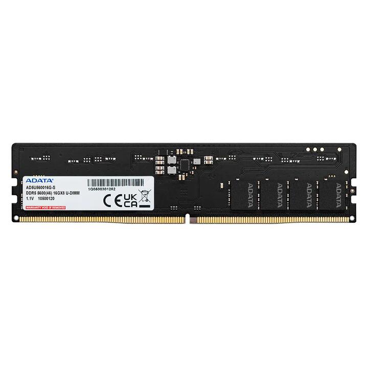 Adata 16GB DDR5-5600 Memory