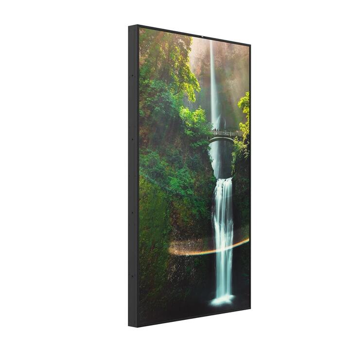 Hisense 55WH80F 55" 4K UHD High Brightness Display