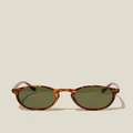 Cotton On Men - Lorne Polarized Sunglasses - Tort/green