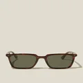 Cotton On Men - Newtown Sunglasses - Dark tort/dark green