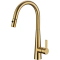 Casa Pull-out Sink Mixer Tap Brushed Gold CASA1017SB-BG