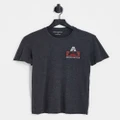Aeropostale logo t-shirt in grey