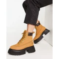 Timberland Sky 6in lace up boots in wheat tan-Brown