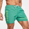 Santa Cruz mono splat swimshorts in green with placement prints