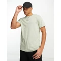 Hollister central logo oversized boxy fit t-shirt in sage green