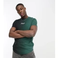 Hollister x ASOS exclusive centre logo ombre curved hem t-shirt in black/green