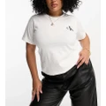 Calvin Klein Jeans Plus 2 pack monogram logo slim fit t-shirt in white