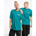 Dickies Unisex Aitkin left chest logo t-shirt in teal-Blue