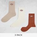 Dickies Valley Grove three pack ankle socks in neutrals