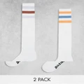 Dickies Lutak long crew socks in white with blue and brown stripes