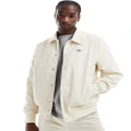 Dickies Chase City jacket in cream-White