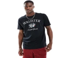 Hollister coastal tech embroidered logo relaxed fit t-shirt in black