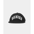 Dickies Princeton Snapback Black - Size ONE