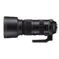 Sigma 60-600mm f/4.5-6.3 DG OS Sports Lens for Nikon