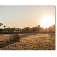 Zeiss Milvus 35mm f/2.0 ZE Lens for Canon