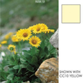Cokin Yellow Colour Compensat. (CC20Y) XL (X) Resin Filter