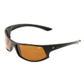 CDX The Wedgy Polarised Sunglasses Brown