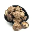 Prestigio Delights Dried Tea Flower Mushroom (4-5Cm)