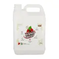 Gw Anti-Bacterial Hand Soap - Strawberry