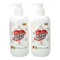 Gw Anti-Bacterial Hand Soap Pack - Apple