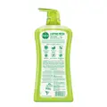 Dettol Anti-Bacterial Ph-Balanced Body Wash - Lasting Fresh