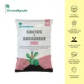 Green Spade Cactus & Succulent Mix