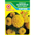 Horti Marigold Sierra Yellow Seeds