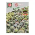 Horti Cactus Mixed Seeds