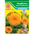 Horti Sunflower Teddy Bear Seeds