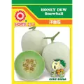 Horti Honey Dew Snow Ball Seeds