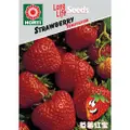 Horti Strawberry Temptation Seeds