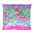 Sakura Bean Sprouts