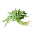Kok Fah Fresh Vegetable - Baby Spinach