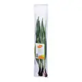 Simply Finest Spring Onion