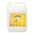 Gw Anti-Bacterial Dishwashing Liquid - Ginger Lime