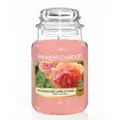 Yankee Candle Sun-Drenched Apricot Rose Large Jar Candle