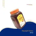 Patanjali Honey 500G -- By Dashmesh