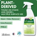 Biokleen Bac-Out Stain N Odor Remover Foam Spray 32Oz/946Ml