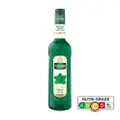 Mathieu Teisseire Green Mint Syrup