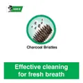Darlie Toothbrush - Charcoal Clean (Regular)