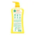 Dettol Anti-Bacterial Ph-Balanced Body Wash - Fresh