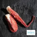 Discefa Octopus Leg No Glazing Medium Cooked Frozen