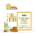 Farcent Tea Tree Garden Herb Soap-Orange