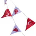 Partyforte Ndp National Day Spore Triangle Pennant 20S 25Ft