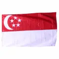 Partyforte National Day Singapore Flag Hdb Size Decoration