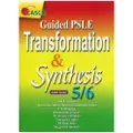 Casco Guided Psle Transformation & Synthesis